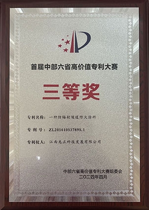 首屆中部六省高價值專利大賽 三等獎