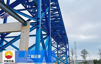 揭陽大南海石化工業區公共管廊項目