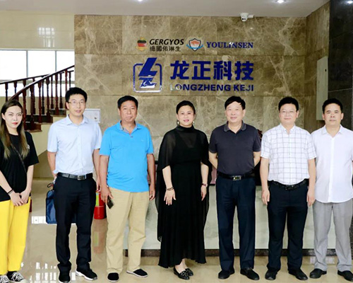 江西龍正科技發展有限公司